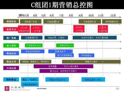 世聯(lián)安徽合肥萬振房地產(chǎn)項(xiàng)目市場營銷策劃總綱